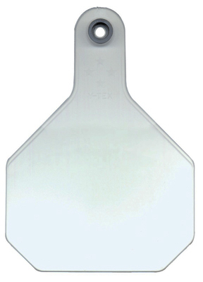 7901000 Large White Blank Tag, 25 Pack