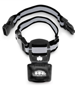 984521 Twice As Bright With Reflective Dog Safety Collar - Silver
