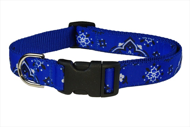 Bandana Blue1-c Bandana Dog Collar, Blue - Extra Small
