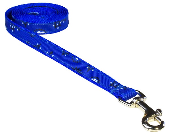 Bandana Blue1-l 4 Ft. Bandana Dog Leash, Blue - Extra Small