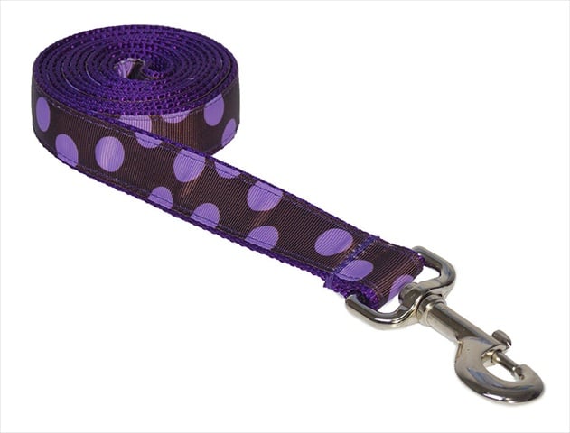 Dot - Orchid-chocolate3-l 6 Ft. Dot Dog Leash, Orchid & Chocolate - Medium