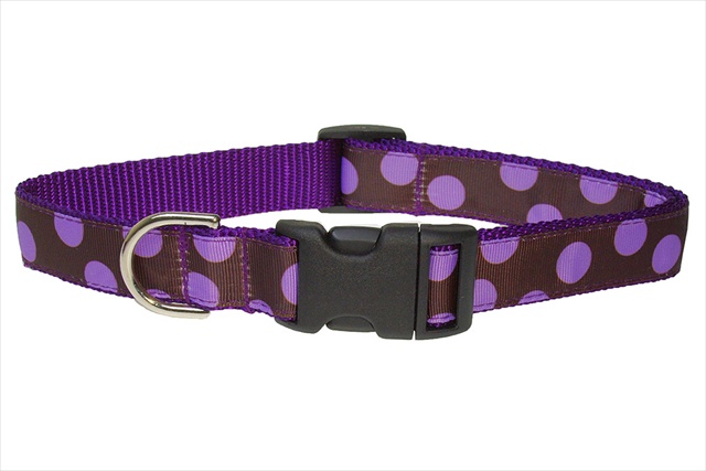 Dot - Orchid-chocolate-c Dot Dog Collar, Orchid & Chocolate - Large