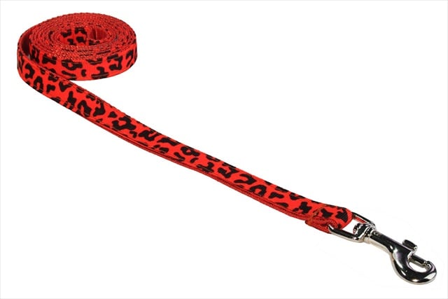 4 Ft. Leopard Dog Leash, Orange - Extra Small