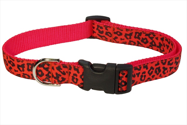Leopard Dog Collar, Orange - Small