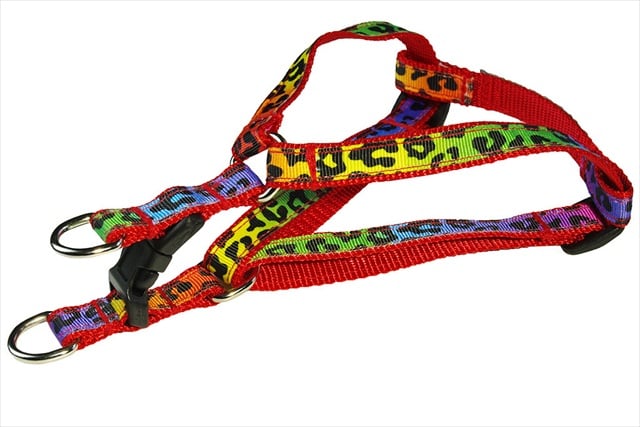 Leopard Dog Harness, Rainbow - Extra Small