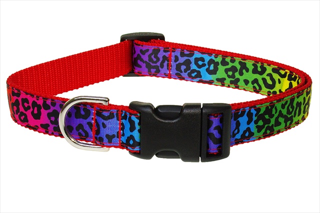 Leopard Dog Collar, Rainbow - Small