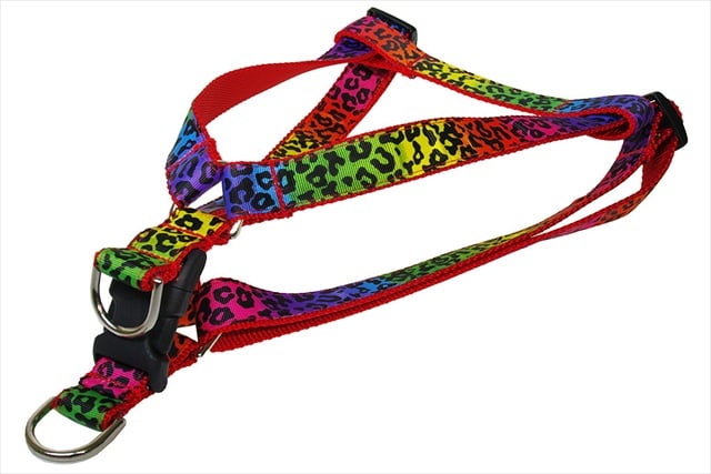 Leopard Dog Harness, Rainbow - Small