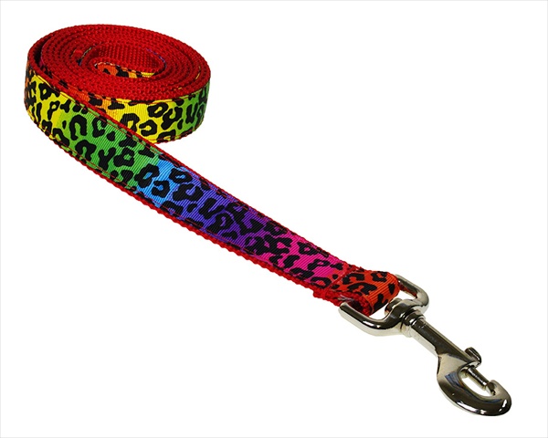 4 Ft. Leopard Dog Leash, Rainbow - Small