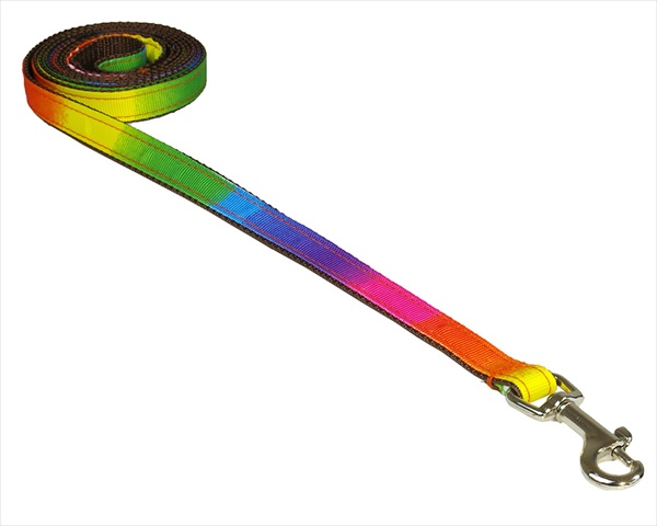 Rainbow1-l 4 Ft. Dog Leash, Rainbow - Extra Small