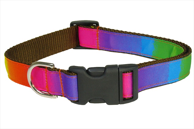 Rainbow2-c Dog Collar, Rainbow - Small