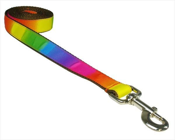 Rainbow2-l 4 Ft. Dog Leash, Rainbow - Small