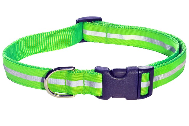 Reflective - Green2-c Reflective Dog Collar, Green - Medium