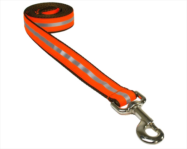 Reflective - Orange1-l 4 Ft. Reflective Dog Leash, Orange - Small