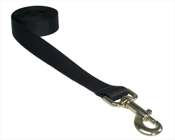 Solid Black Lg-l 6 Ft. Nylon Webbing Dog Leash, Black - Large