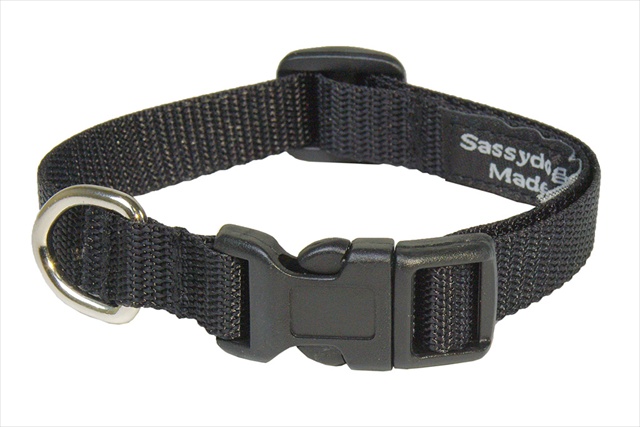 Solid Black Xs-c Nylon Webbing Dog Collar, Black - Extra Small