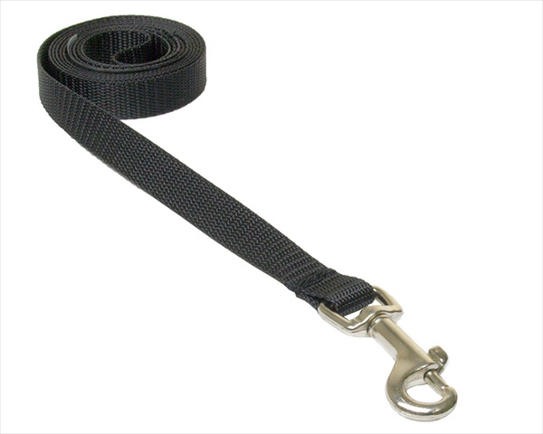 Solid Black Xs-l 4 Ft. Nylon Webbing Dog Leash, Black - Extra Small