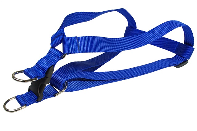 Solid Blue Lg-h Nylon Webbing Dog Harness, Blue - Large