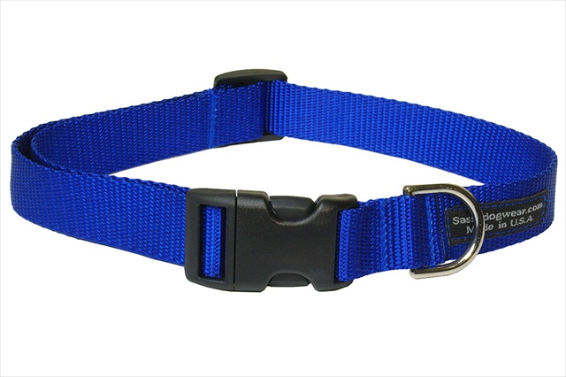 Solid Blue Med-c Nylon Webbing Dog Collar, Blue - Medium