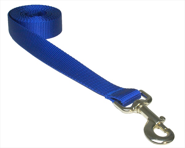 Solid Blue Med-l 6 Ft. Nylon Webbing Dog Leash, Blue - Medium