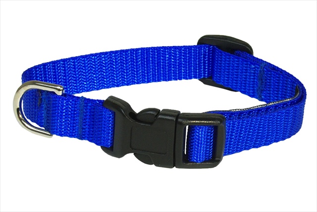 Solid Blue Xs-c Nylon Webbing Dog Collar, Blue - Extra Small