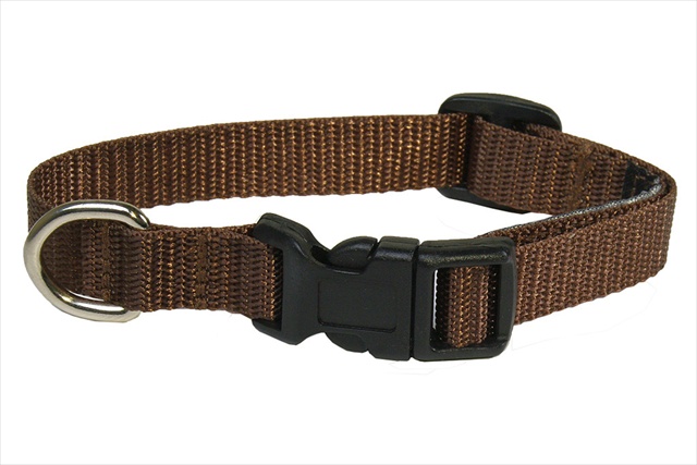 Solid Brown Xs-c Nylon Webbing Dog Collar, Brown - Extra Small