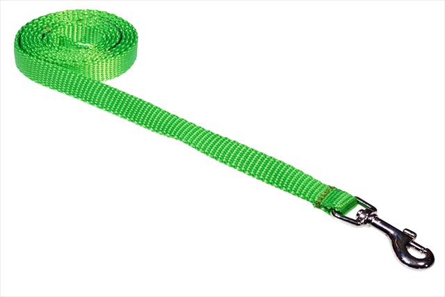 Solid Neon Green Xs-l 4 Ft. Nylon Webbing Dog Leash, Neon Green - Extra Small