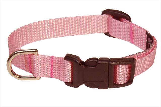 Solid Pink Xs-c Nylon Webbing Dog Collar, Pink - Extra Small