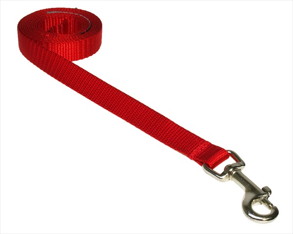 Solid Red Xs-l 4 Ft. Nylon Webbing Dog Leash, Red - Extra Small