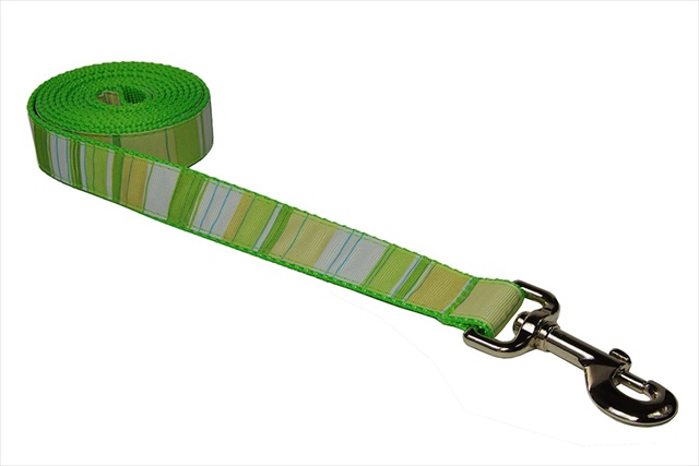 Stripe-green-multi3-l 6 Ft. Multi Stripe Dog Leash, Green - Medium