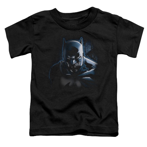 Batman-dont Mess With The Bat - Short Sleeve Toddler Tee - Black, Medium 3t