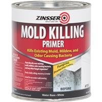 Rustoleum 276087 Mold Killing Primer