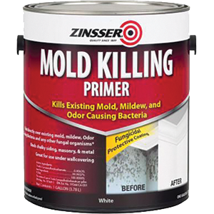 Rustoleum 276049 1 Gallon Mold Killing Primer