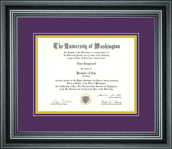Pcfrm-d1pm 8.5 X 11 In. Single Diploma Frame For Diploma