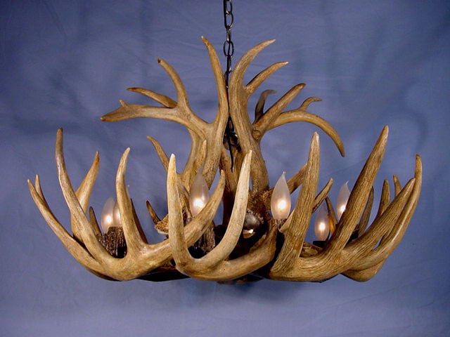 Cdn Antler Design Unsrwst-m 20-22 In. Real Antler Chandelier, Medium