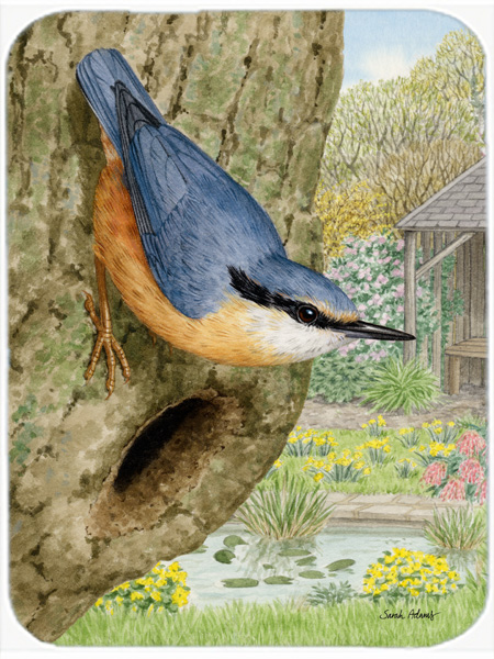 1926 Vintage TODHUNTER BIRDS /"BLUE JAY/" GORGEOUS 90 YEARS OLD Color Lithograph