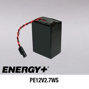 FedCo Batteries Compatible with ENERGY PE12V2.7WS 2900mAh Sealed Lead Acid Battery For Electric Start Lawn Mowers