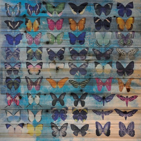 Arte De Legno - Butterflies