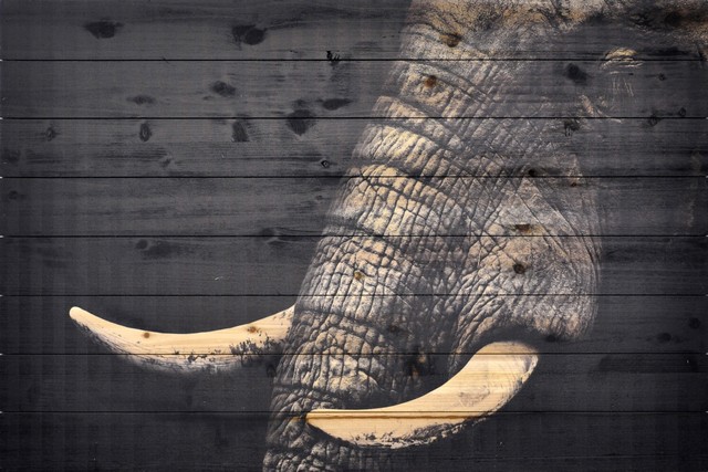 Arte De Legno - Elephant