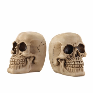 Home Decor Skull Bookend
