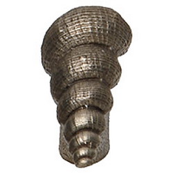 Phdk-35-np Conch Shell Cabinet Knob, Natural Pewter
