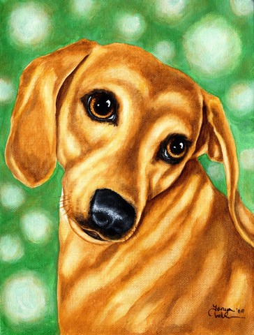 The Eyes Have It Dachshund Flag Canvas House Size