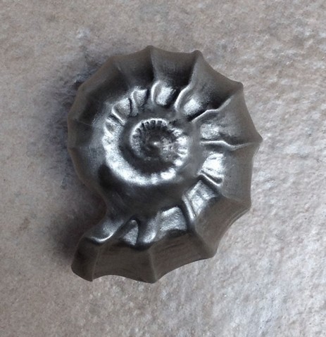 Dhk20-orb Nautilus Shell Knob, Oil Rub Bronze