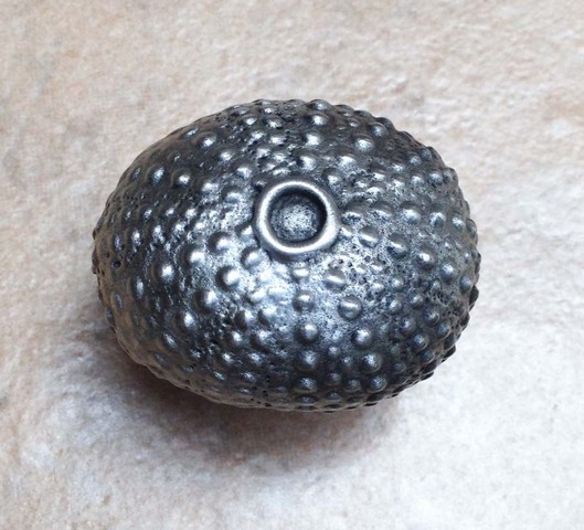 Dhk61-brs Sea Urchin Knob, Antique Brass