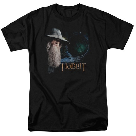 UPC 887806020605 product image for The Hobbit-The Door Short Sleeve Adult 18-1 Tee- Black - Large | upcitemdb.com