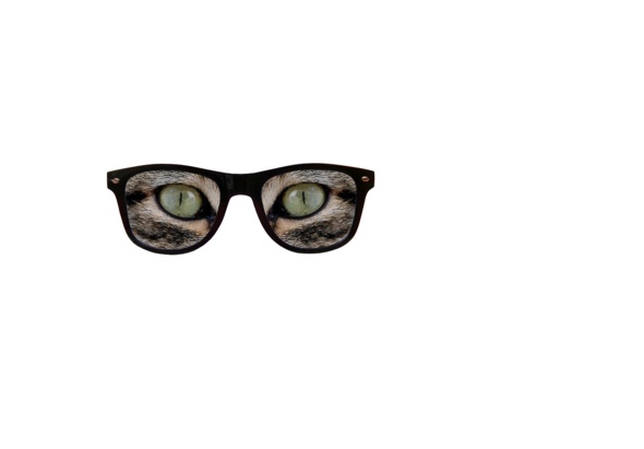 Weyeseyes Meowz Black Frames- Novelty Sunglasses - Set Of 2