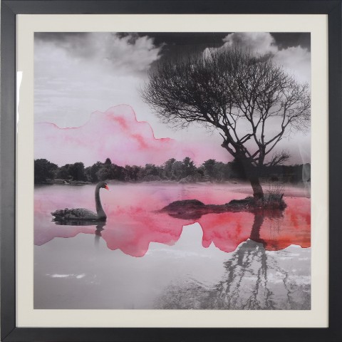 Fineart06 24 In. X 24 In. The Lake Giclee Fine Art Print In Black Frame