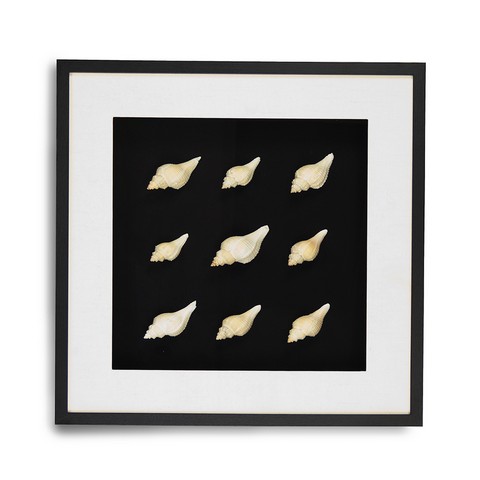 Abstract Shell Art, 25.5 X 25.5 X 2.625 In.