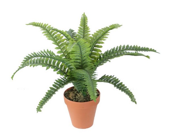 19 In. Potted Artificial Green Boston Fern Plant Spring Decoration