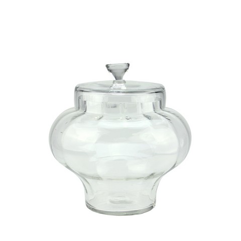 11 In. Transparent Segmented Glass Container With Lid