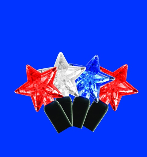 Kellogg Plastics 51422 Holiday & Christmas Indoor & Outdoor Led- Red & White & Blue - Star
